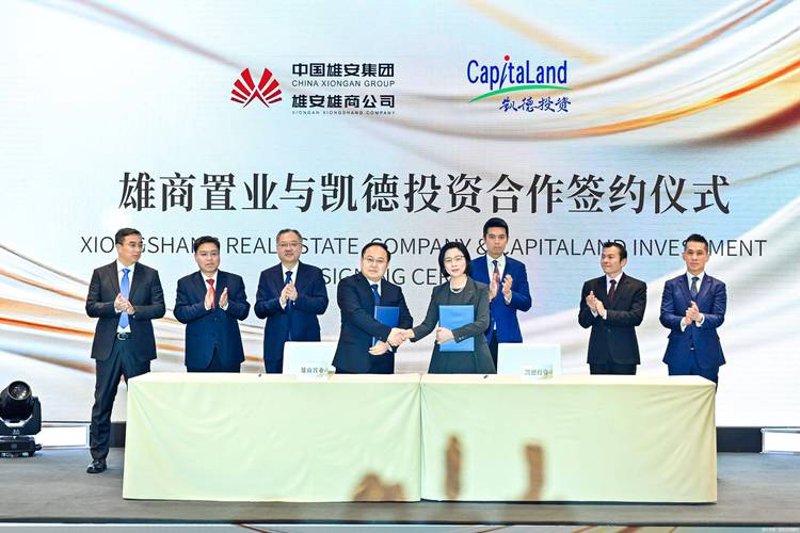 投资管理咨询行业的风云变幻与未来趋势